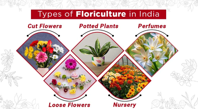 Certificate Floriculture Course